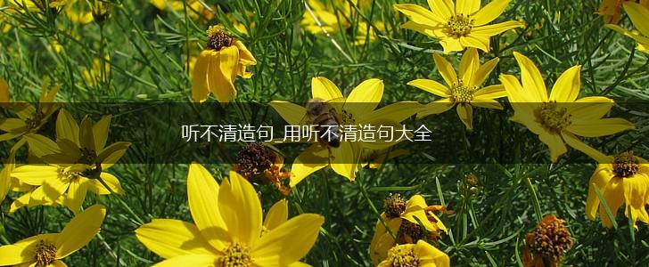 听不清造句_用听不清造句大全,第1张 听不清造句_用听不清造句大全,第1张