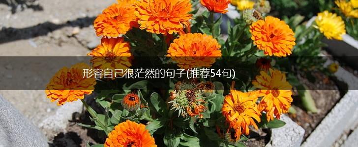 形容自己很茫然的句子(推荐54句),第1张