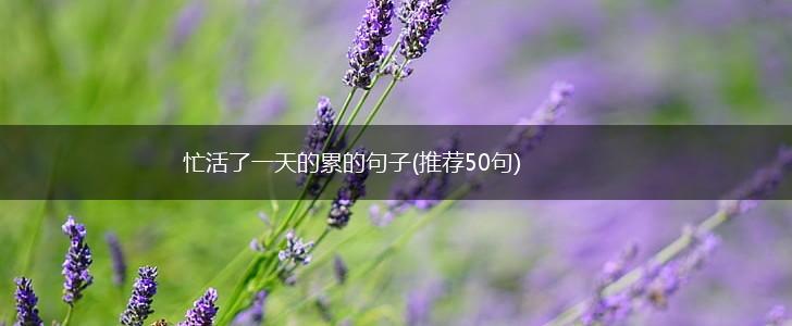 忙活了一天的累的句子(推荐50句),第1张