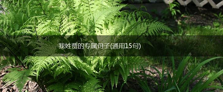 我姓贾的专属句子(通用15句),第1张