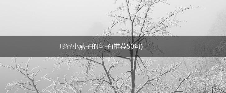形容小燕子的句子(推荐50句),第1张