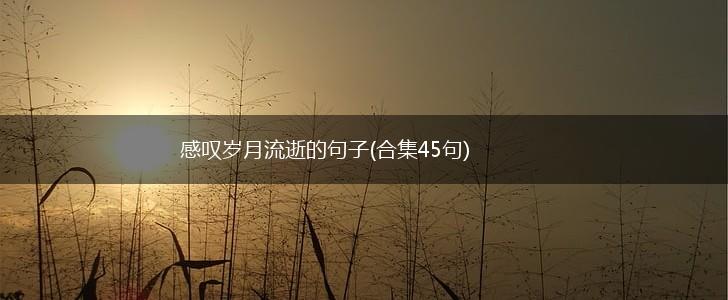 感叹岁月流逝的句子(合集45句),第1张