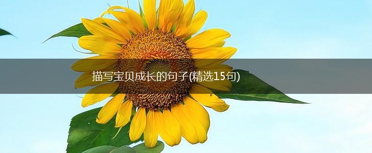 描写宝贝成长的句子(精选15句),第1张