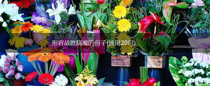 形容战胜病魔的句子(通用20句),第1张