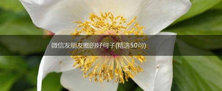 微信发朋友圈的好句子(精选50句),第1张