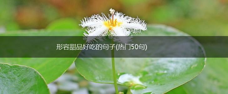 形容甜品好吃的句子(热门50句),第1张