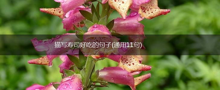 描写寿司好吃的句子(通用11句),第1张