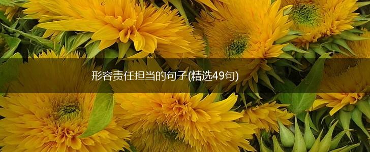 形容责任担当的句子(精选49句),第1张