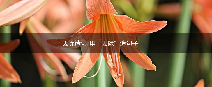 去除造句_用“去除”造句子,第1张