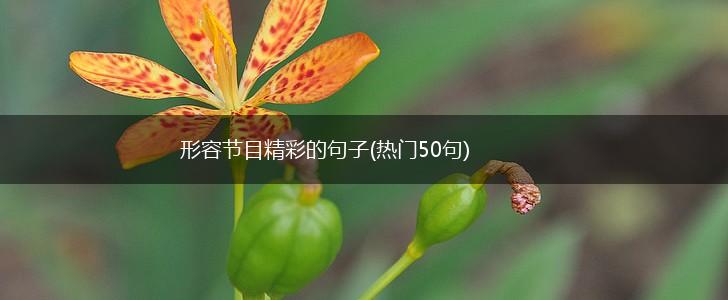 形容节目精彩的句子(热门50句),第1张