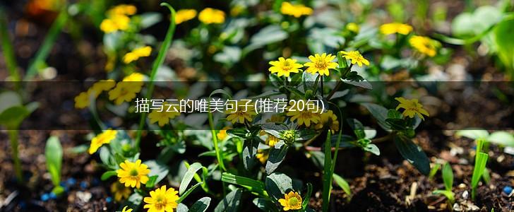 描写云的唯美句子(推荐20句),第1张