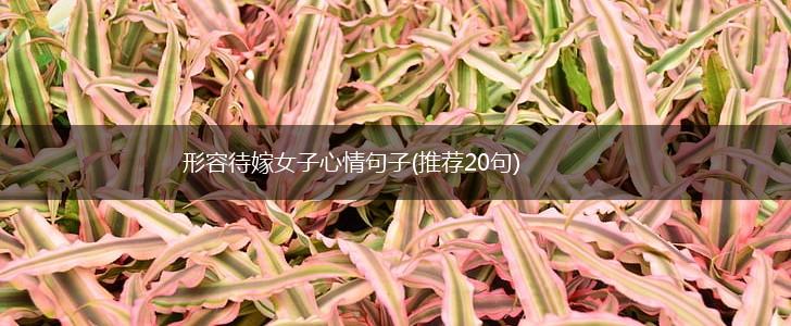 形容待嫁女子心情句子(推荐20句),第1张