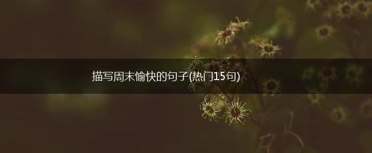 描写周末愉快的句子(热门15句),第1张
