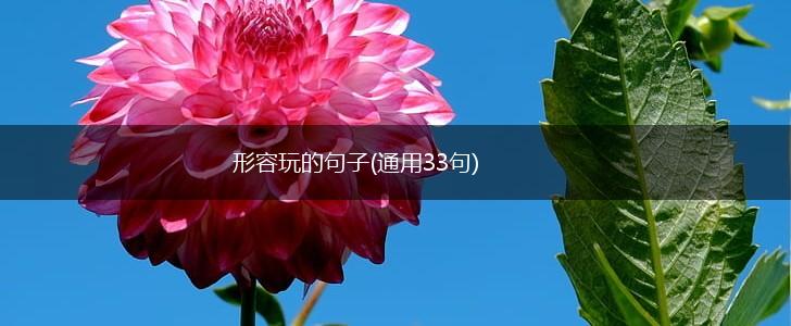 形容玩的句子(通用33句),第1张