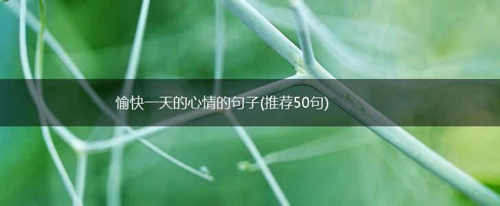 愉快一天的心情的句子(推荐50句),第1张