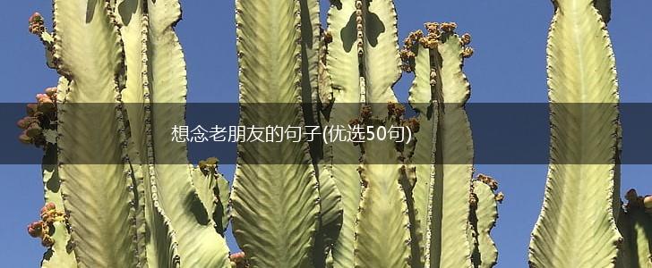 想念老朋友的句子(优选50句),第1张