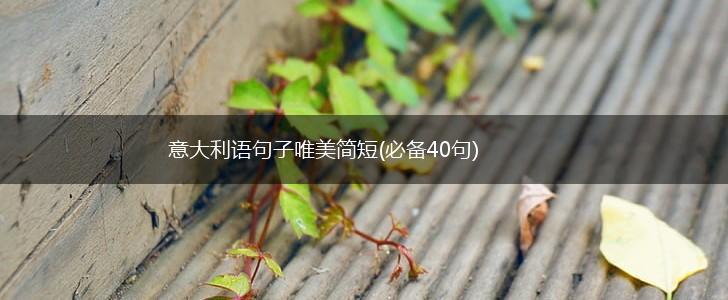 意大利语句子唯美简短(必备40句),第1张