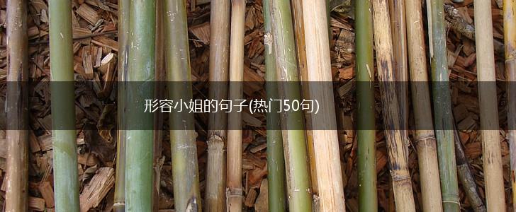 形容小姐的句子(热门50句),第1张