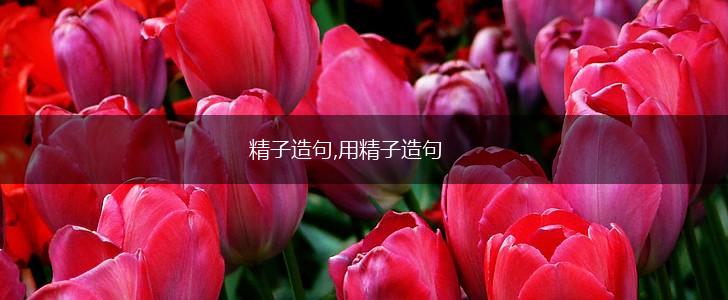 精子造句,用精子造句,第1张 精子造句,用精子造句,第1张