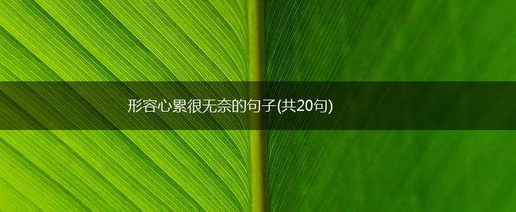 形容心累很无奈的句子(共20句),第1张