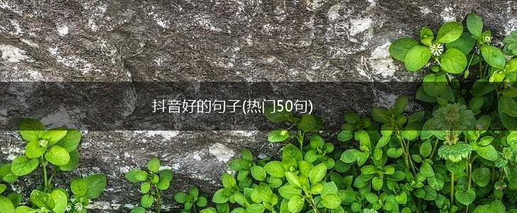 抖音好的句子(热门50句),第1张
