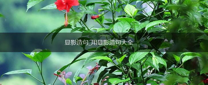 显影造句_用显影造句大全,第1张 显影造句_用显影造句大全,第1张