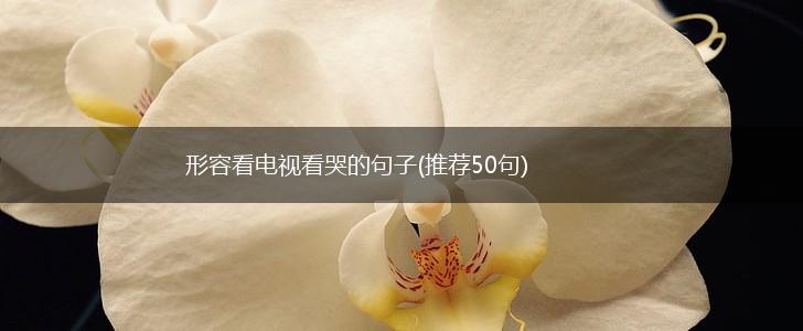 形容看电视看哭的句子(推荐50句),第1张