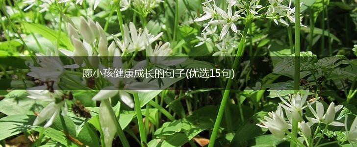 愿小孩健康成长的句子(优选15句),第1张