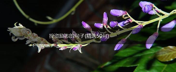 投资励志的句子(精选50句),第1张