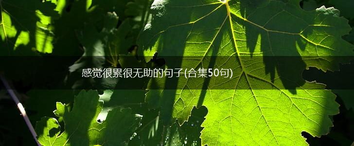 感觉很累很无助的句子(合集50句),第1张