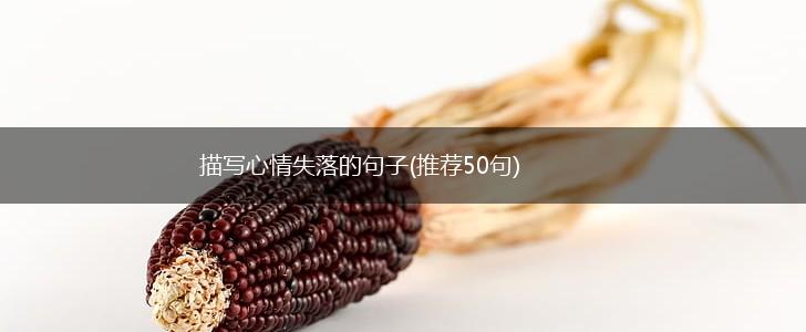 描写心情失落的句子(推荐50句),第1张