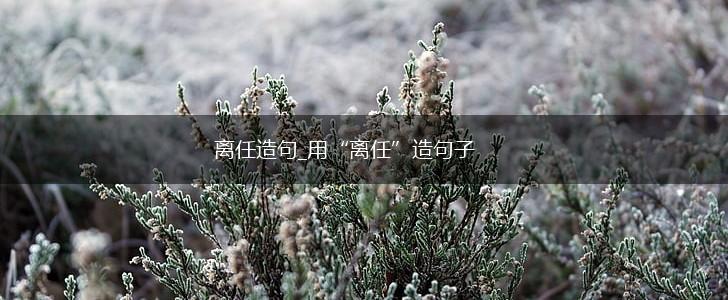 离任造句_用“离任”造句子,第1张 离任造句_用“离任”造句子,第1张