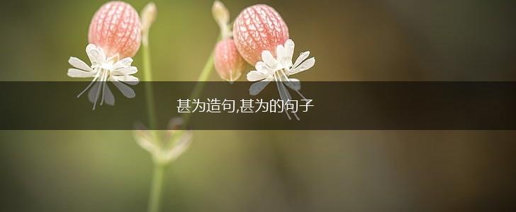 甚为造句,甚为的句子,第1张