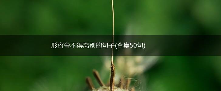 形容舍不得离别的句子(合集50句),第1张