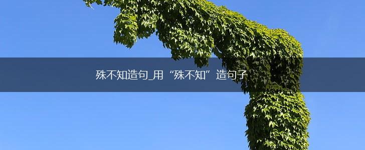 殊不知造句_用“殊不知”造句子,第1张 殊不知造句_用“殊不知”造句子,第1张