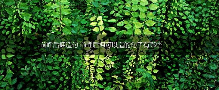 前呼后拥造句 前呼后拥可以造的句子有哪些,第1张 前呼后拥造句 前呼后拥可以造的句子有哪些,第1张