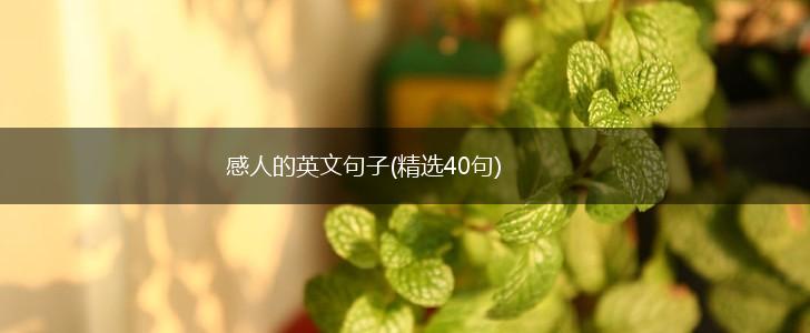 感人的英文句子(精选40句),第1张