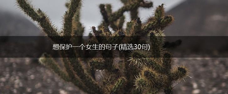 想保护一个女生的句子(精选30句),第1张