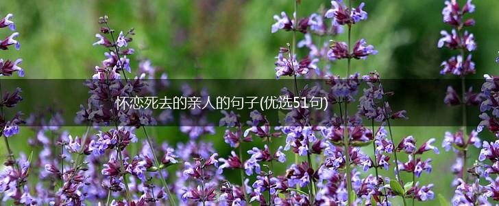 怀恋死去的亲人的句子(优选51句),第1张