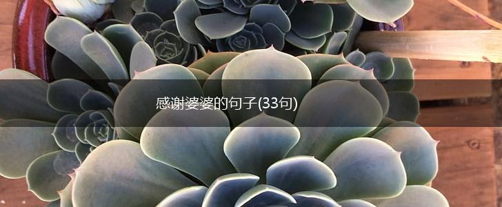 感谢婆婆的句子(33句),第1张