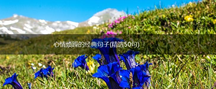 心情烦躁的经典句子(精选50句),第1张