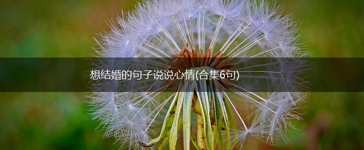 想结婚的句子说说心情(合集6句),第1张