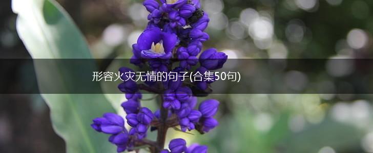 形容火灾无情的句子(合集50句),第1张