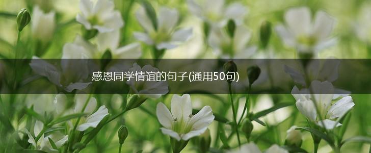 感恩同学情谊的句子(通用50句),第1张