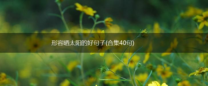 形容晒太阳的好句子(合集40句),第1张