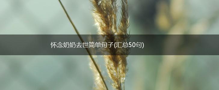 怀念奶奶去世简单句子(汇总50句),第1张