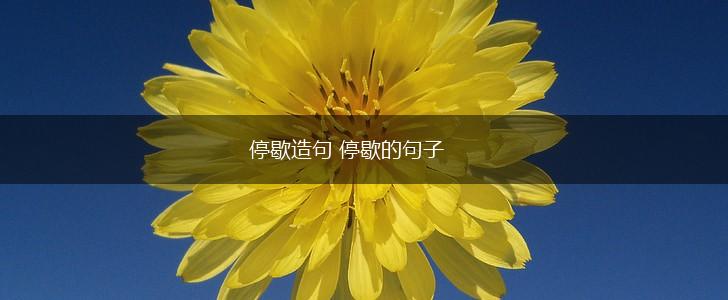 停歇造句 停歇的句子,第1张 停歇造句 停歇的句子,第1张