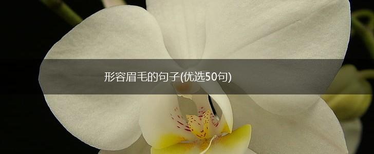 形容眉毛的句子(优选50句),第1张