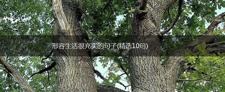 形容生活很充实的句子(精选10句),第1张