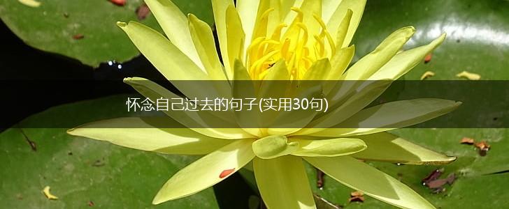 怀念自己过去的句子(实用30句),第1张